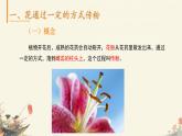 初中 生物 濟南版（2024）七年級下冊3.2.2  花經(jīng)過傳粉和受精后形成果實 課件