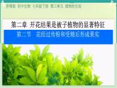 初中 生物 濟南版（2024）七年級下冊3.2.2  花經(jīng)過傳粉和受精后形成果實 課件