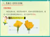 初中 生物 濟南版（2024）七年級下冊3.2.2  花經(jīng)過傳粉和受精后形成果實 課件