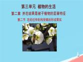 初中 生物 濟南版（2024）七年級下冊3.2.2  花經(jīng)過傳粉和受精后形成果實 課件