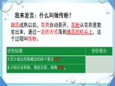 初中 生物 濟南版（2024）七年級下冊3.2.2  花經(jīng)過傳粉和受精后形成果實 課件