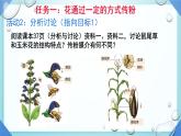 初中 生物 濟南版（2024）七年級下冊3.2.2  花經(jīng)過傳粉和受精后形成果實 課件