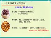 初中 生物 濟(jì)南版（2024）七年級下冊3.2.3  種子萌發(fā)需要適宜的條件 課件