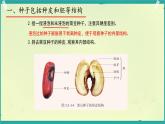 初中 生物 濟(jì)南版（2024）七年級下冊3.2.3  種子萌發(fā)需要適宜的條件 課件