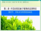 初中 生物 濟南版（2024）七年級下冊3.2.4  芽是未發(fā)育的枝條或花 課件