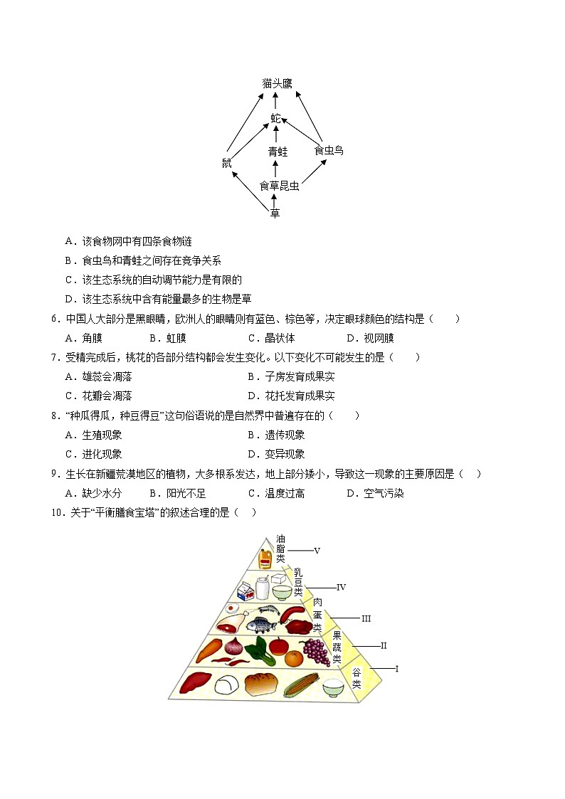 2025年中考第一次模拟考试卷：生物（新疆卷）（原卷版）第2页