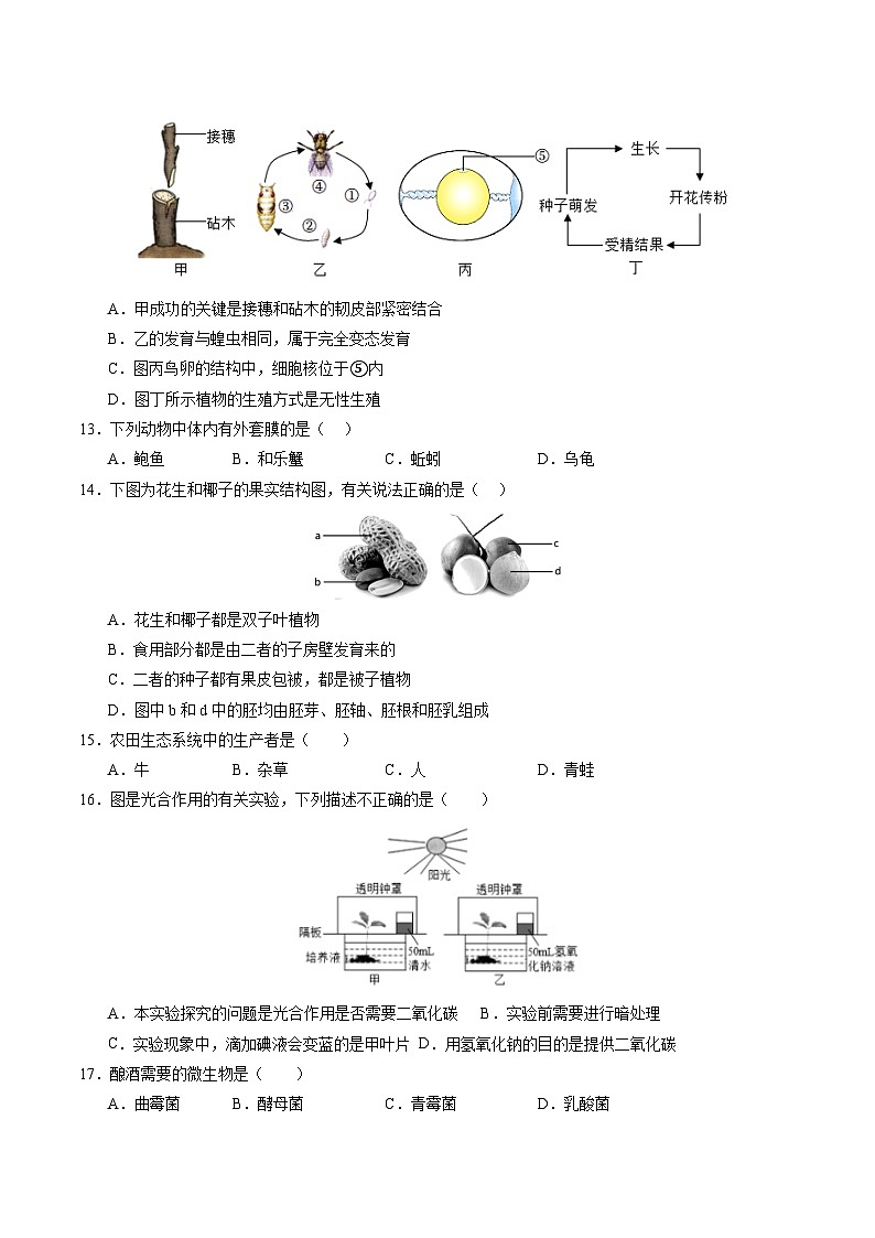 2025年中考第一次模拟考试卷：生物（海南卷）（原卷版）第3页