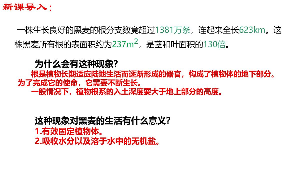 初中 生物 济南版（2024）七年级下册3.1.1 植物的根能够吸收水和无机盐 课件第3页