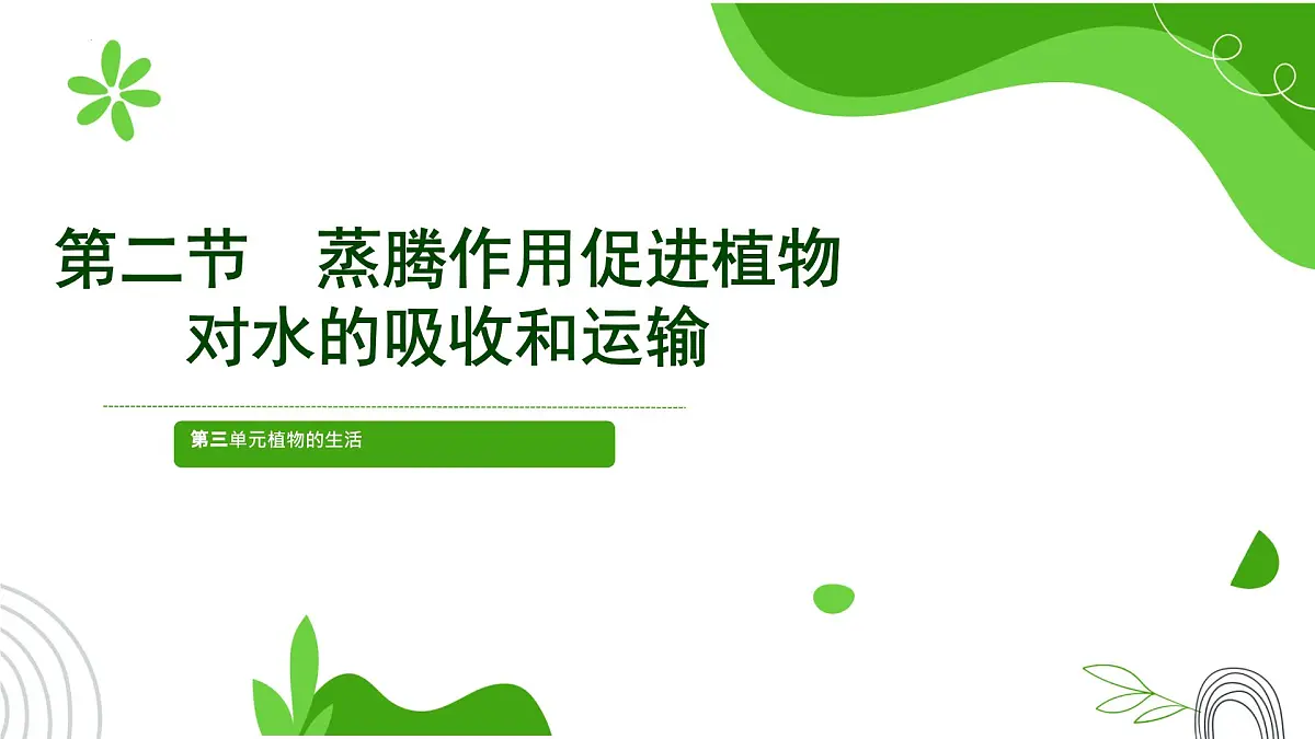 初中 生物 济南版（2024）七年级下册3.1.2 蒸腾作用促进植物对水的吸收和运输 课件第1页