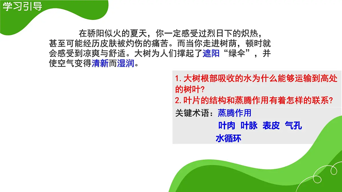 初中 生物 济南版（2024）七年级下册3.1.2 蒸腾作用促进植物对水的吸收和运输 课件第2页