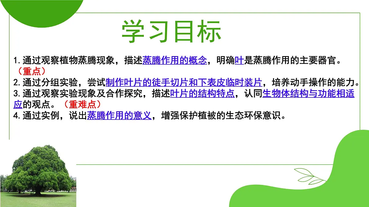 初中 生物 济南版（2024）七年级下册3.1.2 蒸腾作用促进植物对水的吸收和运输 课件第3页