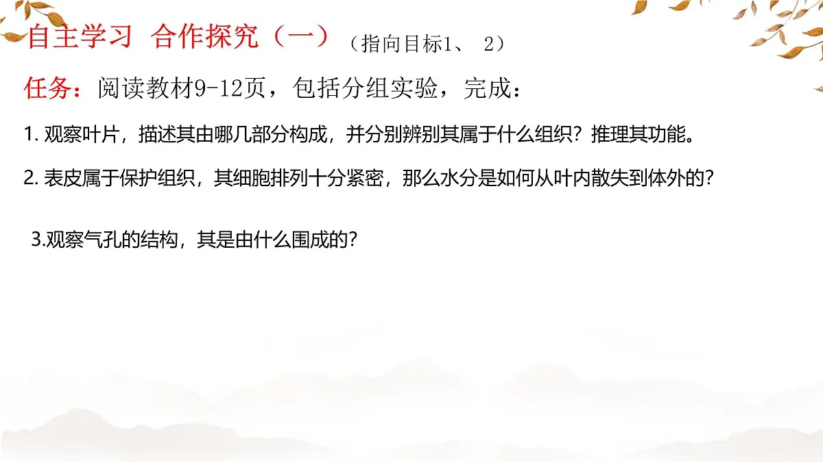 初中 生物 济南版（2024）七年级下册3.1.2 蒸腾作用促进植物对水的吸收和运输 课件第4页