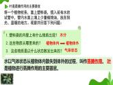 初中 生物 濟南版（2024）七年級下冊3.1.2  蒸騰作用促進植物對水的吸收和運輸 課件