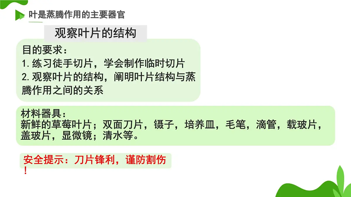 初中 生物 济南版（2024）七年级下册3.1.2 蒸腾作用促进植物对水的吸收和运输 课件第6页