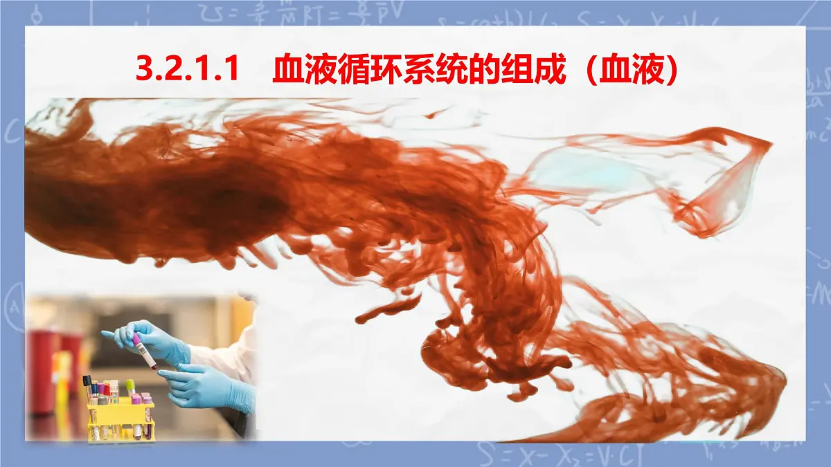 初中 生物 冀少版（2024） 七年级下册3.2.1.1 血液循环系统的组成 课件第2页