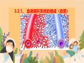 初中  生物  冀少版（2024） 七年級(jí)下冊(cè)3.2.1.2 血液循環(huán)系統(tǒng)的組成 課件