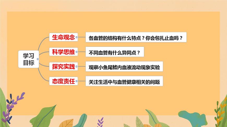 初中  生物  冀少版（2024） 七年级下册3.2.1.2 血液循环系统的组成 课件第3页