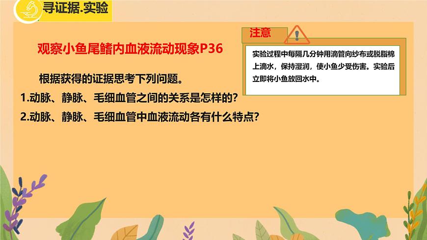 初中  生物  冀少版（2024） 七年级下册3.2.1.2 血液循环系统的组成 课件第4页