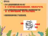 初中  生物  冀少版（2024） 七年級(jí)下冊(cè)3.2.1.2 血液循環(huán)系統(tǒng)的組成 課件