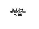 初中  生物  冀少版（2024） 七年級(jí)下冊(cè)3.2.1.1血液循環(huán)系統(tǒng)的組成 課件