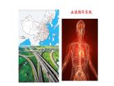 初中  生物  冀少版（2024） 七年級(jí)下冊(cè)3.2.1.1血液循環(huán)系統(tǒng)的組成 課件