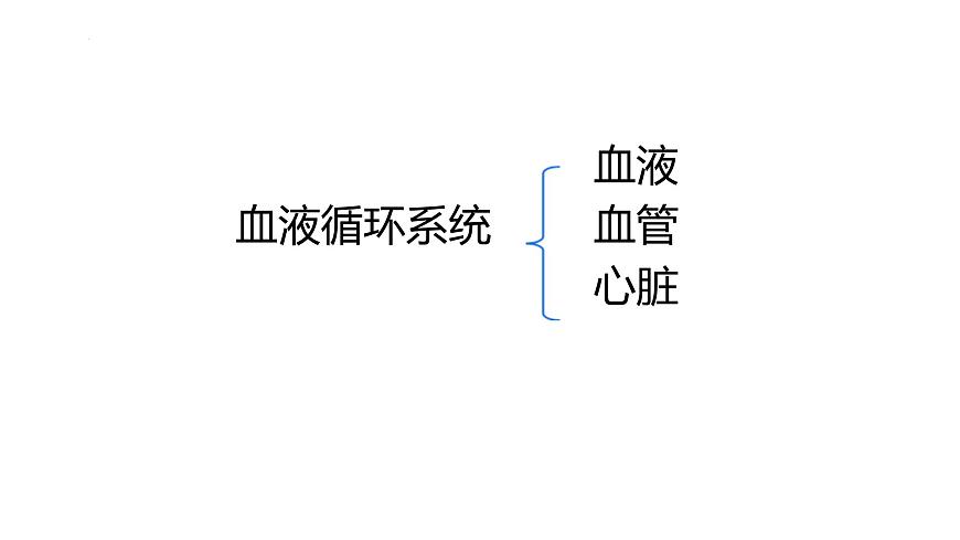 初中  生物  冀少版（2024） 七年级下册3.2.1.1血液循环系统的组成 课件第3页