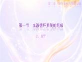 初中  生物  冀少版（2024） 七年級(jí)下冊(cè)3.2.1.2血液循環(huán)系統(tǒng)的組成 課件