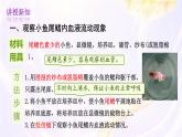 初中  生物  冀少版（2024） 七年級(jí)下冊(cè)3.2.1.2血液循環(huán)系統(tǒng)的組成 課件