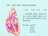 初中  生物  冀少版（2024） 七年級(jí)下冊(cè)3.2.1.3 血液循環(huán)系統(tǒng)的組成 課件