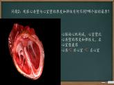 初中  生物  冀少版（2024） 七年級(jí)下冊(cè)3.2.1.3 血液循環(huán)系統(tǒng)的組成 課件