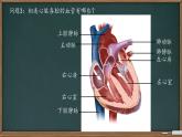初中  生物  冀少版（2024） 七年級(jí)下冊(cè)3.2.1.3 血液循環(huán)系統(tǒng)的組成 課件