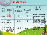 初中  生物  冀少版（2024） 七年級下冊3.2.1.3 血液循環(huán)系統(tǒng)的組成（心臟） 課件
