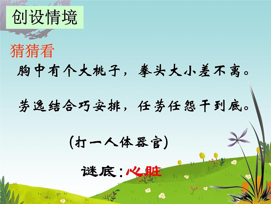 初中  生物  冀少版（2024） 七年级下册3.2.1.3 血液循环系统的组成（心脏） 课件第5页