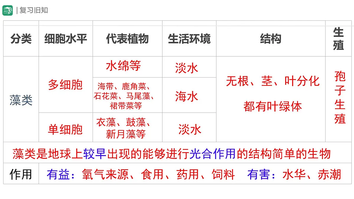 冀少版（2024）七上生物2.1.2.1 植物1 课件第2页
