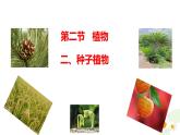 冀少版（2024）七上生物2.1.2.2 植物2 課件