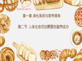 初中 生物 冀少版（2024）七年級(jí)下冊(cè)3.1.2 人體生命活動(dòng)需要的營(yíng)養(yǎng)物質(zhì) 課件