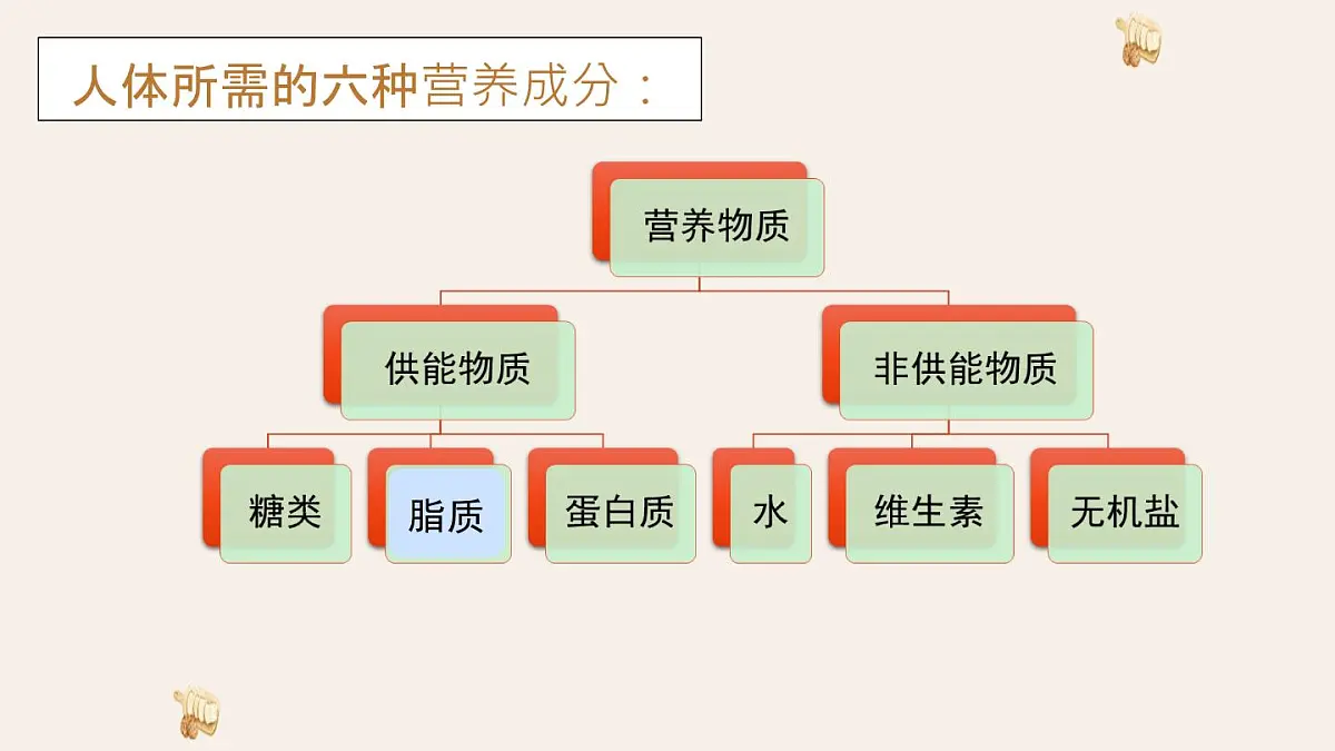 初中 生物 冀少版（2024）七年级下册3.1.2 人体生命活动需要的营养物质 课件第7页
