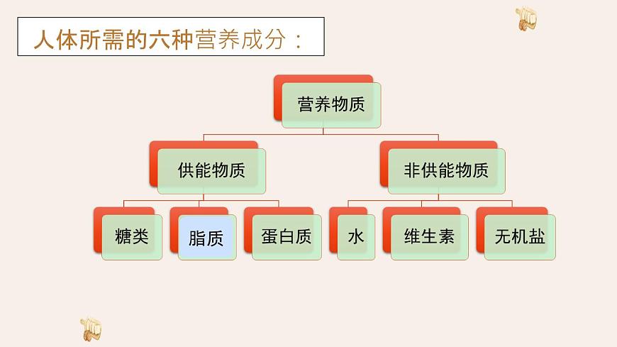 初中 生物 冀少版（2024）七年级下册3.1.2 人体生命活动需要的营养物质 课件第7页