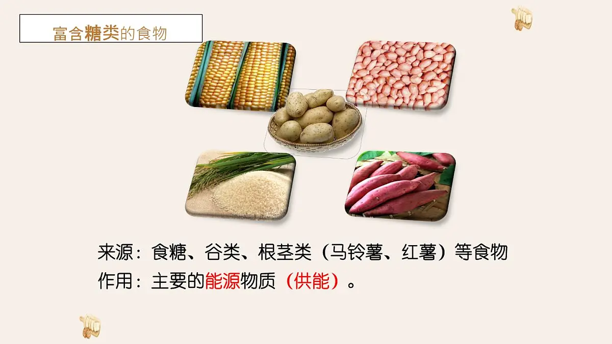 初中 生物 冀少版（2024）七年级下册3.1.2 人体生命活动需要的营养物质 课件第8页