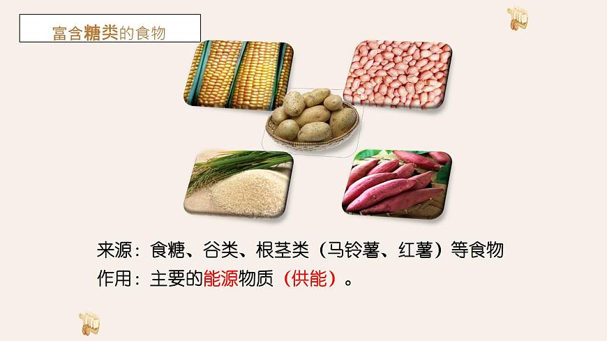 初中 生物 冀少版（2024）七年级下册3.1.2 人体生命活动需要的营养物质 课件第8页