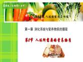 初中 生物 冀少版（2024）七年級(jí)下冊(cè)3.1.2 人體生命活動(dòng)需要的營(yíng)養(yǎng)物質(zhì) 課件