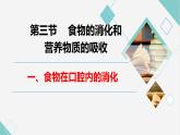 初中 生物 冀少版（2024）七年級下冊3.1.3.1 食物的消化和營養(yǎng)物質(zhì)的吸收 課件