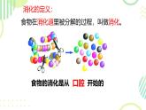 初中 生物 冀少版（2024）七年級下冊3.1.3.1 食物的消化和營養(yǎng)物質(zhì)的吸收 課件