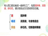 初中 生物 冀少版（2024）七年級下冊3.1.3.1 食物的消化和營養(yǎng)物質(zhì)的吸收 課件