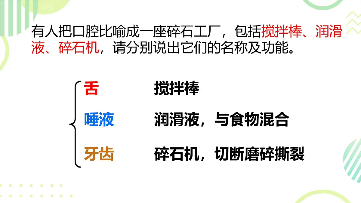 初中 生物 冀少版（2024）七年级下册3.1.3.1 食物的消化和营养物质的吸收 课件第4页