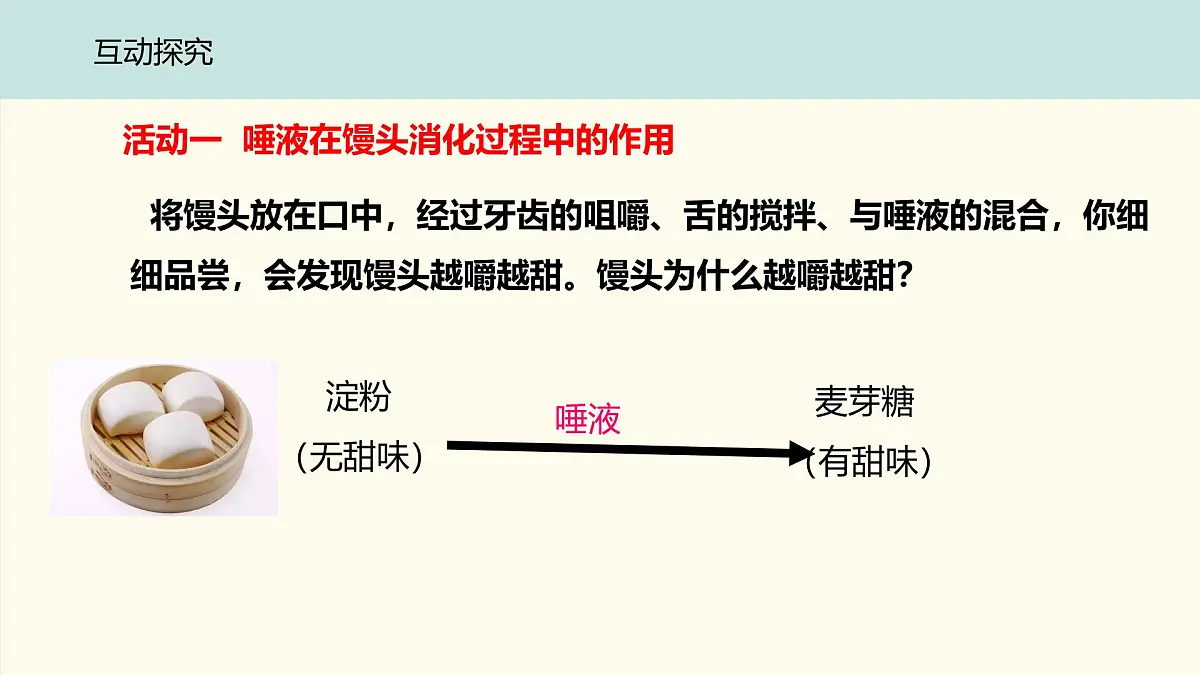 初中 生物 冀少版（2024）七年级下册3.1.3.1 食物的消化和营养物质的吸收 课件第5页