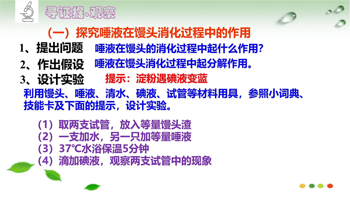 初中 生物 冀少版（2024）七年级下册3.1.3.1 食物的消化和营养物质的吸收 课件第6页