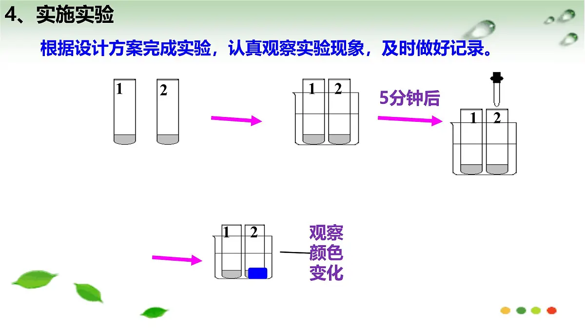 初中 生物 冀少版（2024）七年级下册3.1.3.1 食物的消化和营养物质的吸收 课件第7页