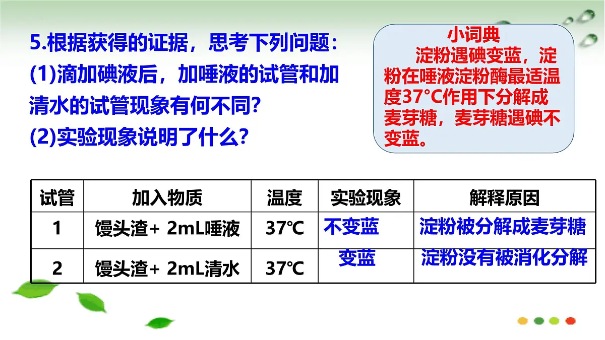 初中 生物 冀少版（2024）七年级下册3.1.3.1 食物的消化和营养物质的吸收 课件第8页