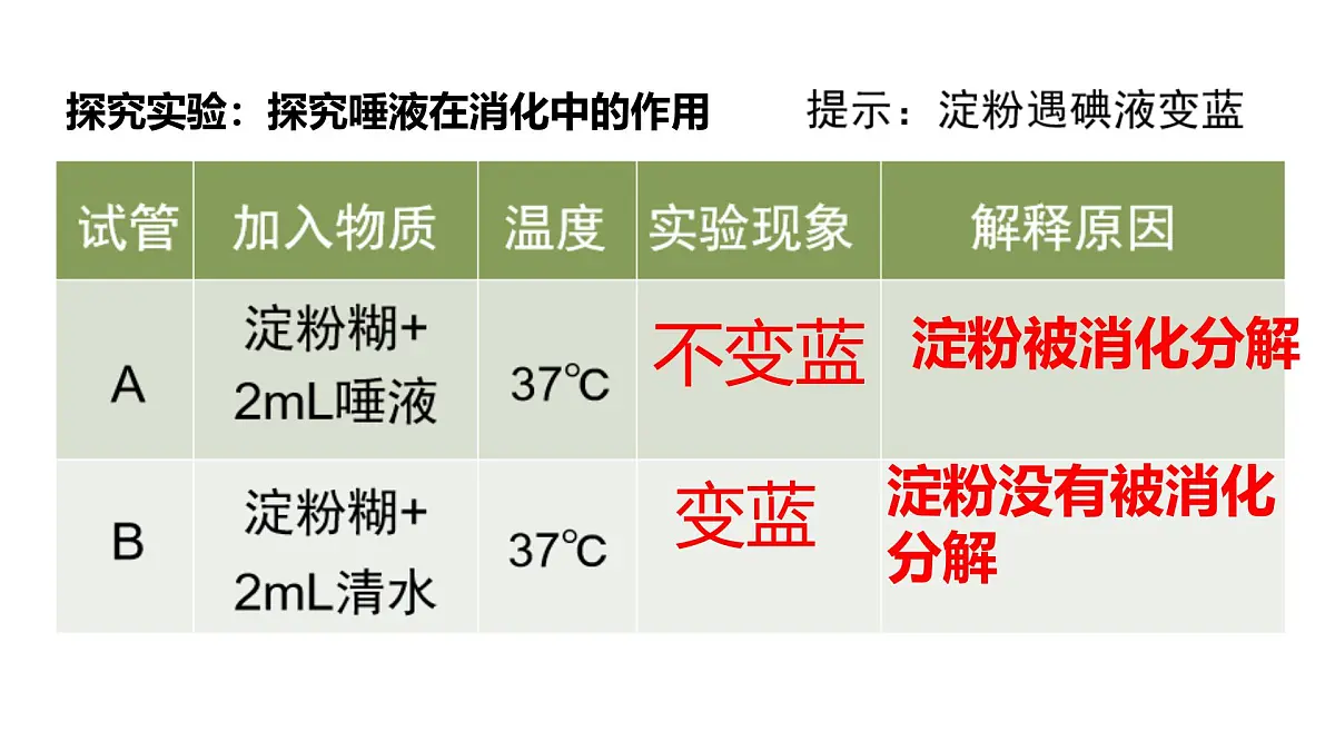 初中 生物 冀少版（2024）七年级下册3.1.3.1 食物的消化和营养物质的吸收 课件2第5页
